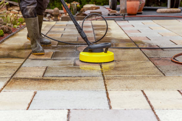 Best Pre-Holiday Cleaning  in Salem, VA